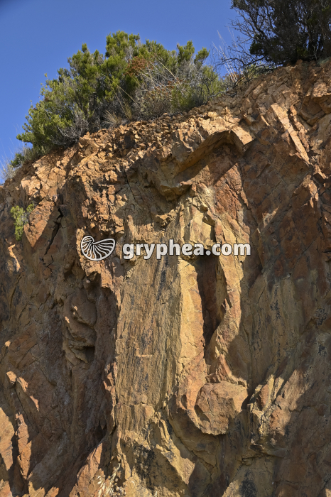 Rhyolite - affleurement (Esterel, France) - gryphea.com